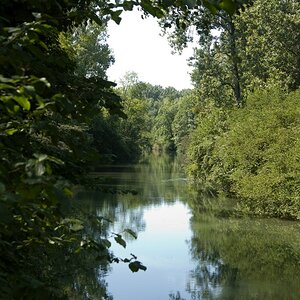 comp Rhein3