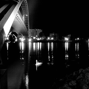 comp Rhein5