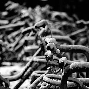 2008 11 23 Frankfurt Mainz Knipserei und Schnee D7C 6895 01 sw web