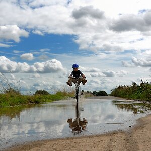 comp OLI 2987 nx2