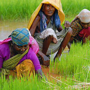 Indien 02