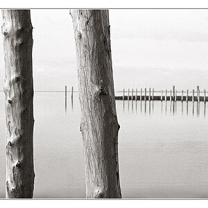 2008-11 EnnEff - scharf unscharf I
F5; Kodak 400TX; Spur HRX-2