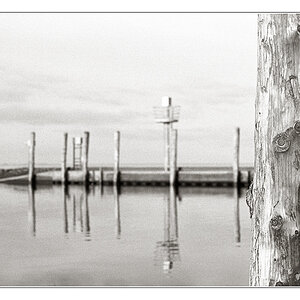 2008-11 EnnEff - scharf unscharf II

F5; Kodak 400TX; Spur HRX-2
