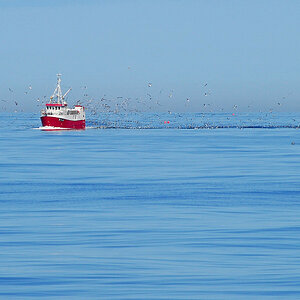 Fischerboot 2