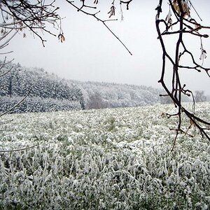 Winterlandschaft
