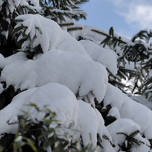 Schnee