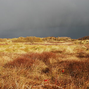 Vor dem Unwetter
