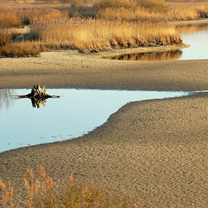 Vogelinsel