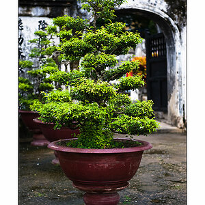 Chau Doc 6