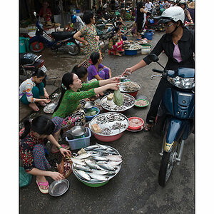 Aus dem Mekong Delta 7