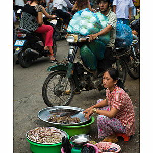Aus dem Mekong Delta 8