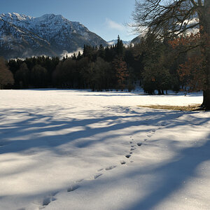 NFF 20081224 130740 Graswangtal Linderhof
