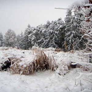 Winterlandschaft