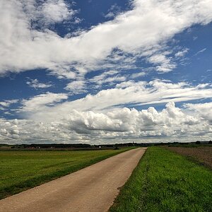 Weg web