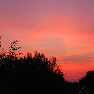 Himmel2, 2010