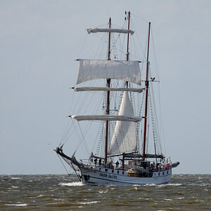 sail13 JKK 8665