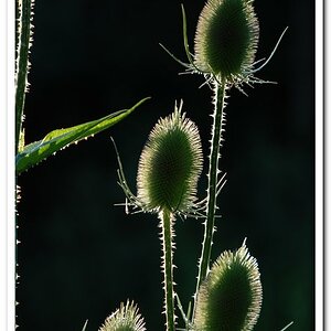 001 (3)