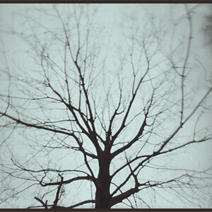 wind