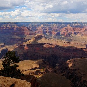 DSC 5978 Grand Canyon