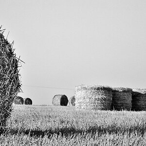 Strohballen B&W