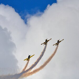 drei weg web