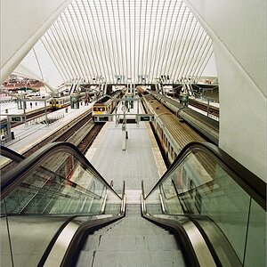 cR 005A