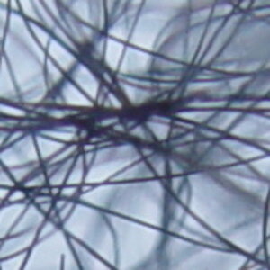 DSC06700c