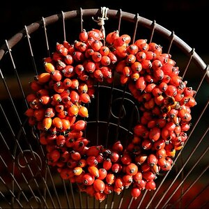 herbst 2 2W