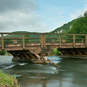 wiesent1