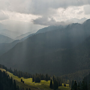 nebel