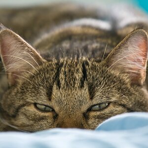 web IMG 2721