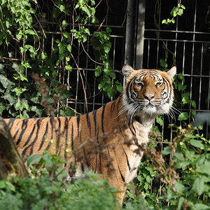DSC 4501klein