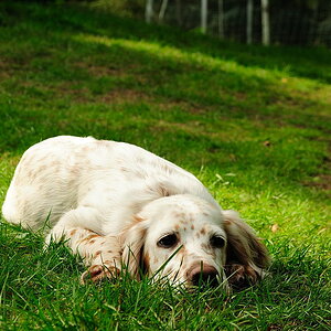 DSC 0233 00131
