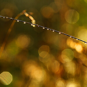 Herbst 2