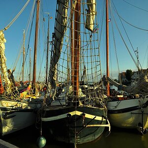 Hoorn