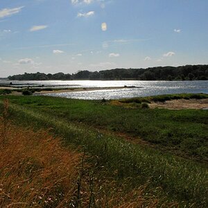 NF B 2008 06 11 08 43 16