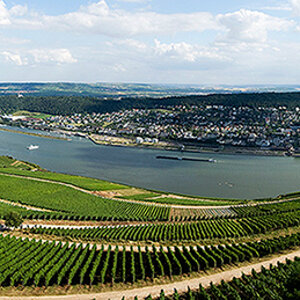 Panorma #2 vom Rhein