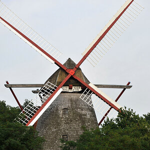 DSC 43100004