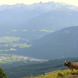 sp austria20100018