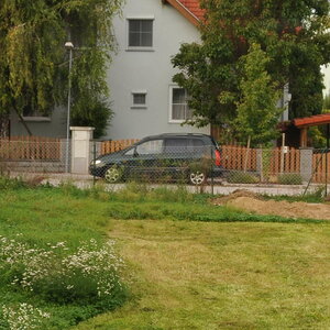 28 300 crop