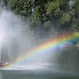 Regenbogen, Groov in Köln Zündorf
