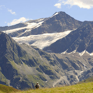 sp austria20100051