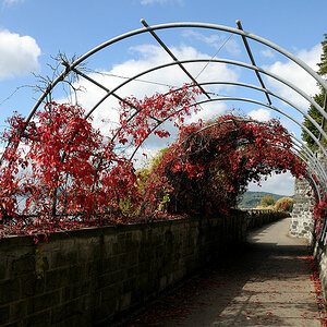DSC 6908 Bodensee Radweg Forum