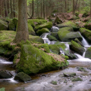 Rumplbach