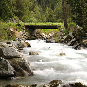 sp austria20100058