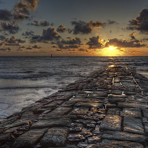 NY