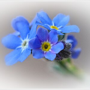 Bild 021nf