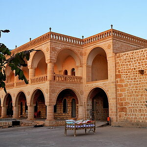 DSC 5926