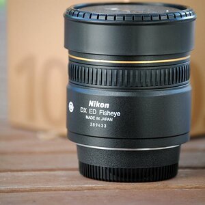 fisheye