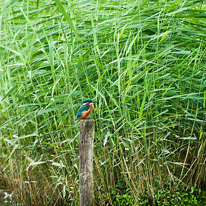 20100911 32010 [NIKON D3] 550 mm,1 60 Sek. bei f   5,6